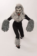 Middle School Wolves