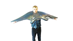 Mantaray_Front