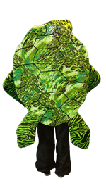 Turtle Back