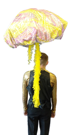 jellyfish_back