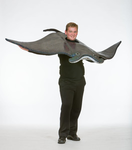 Mantaray