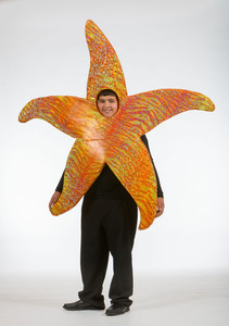 Starfish