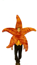 starfish_front