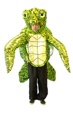 turtle front